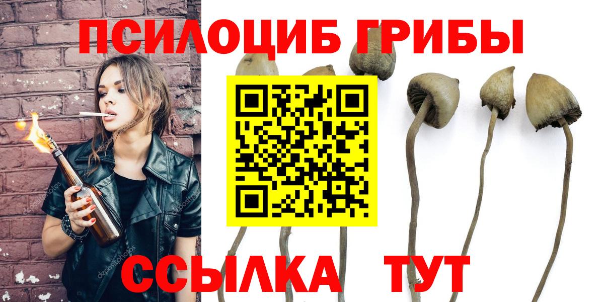 Псилоцибиновые грибы мухоморы  Вход с VPN  наркотики  Ковров 